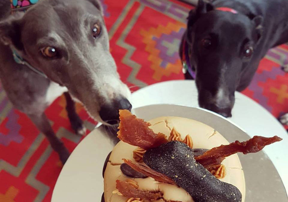 Spoil your hound with our delicious pupcake recipe