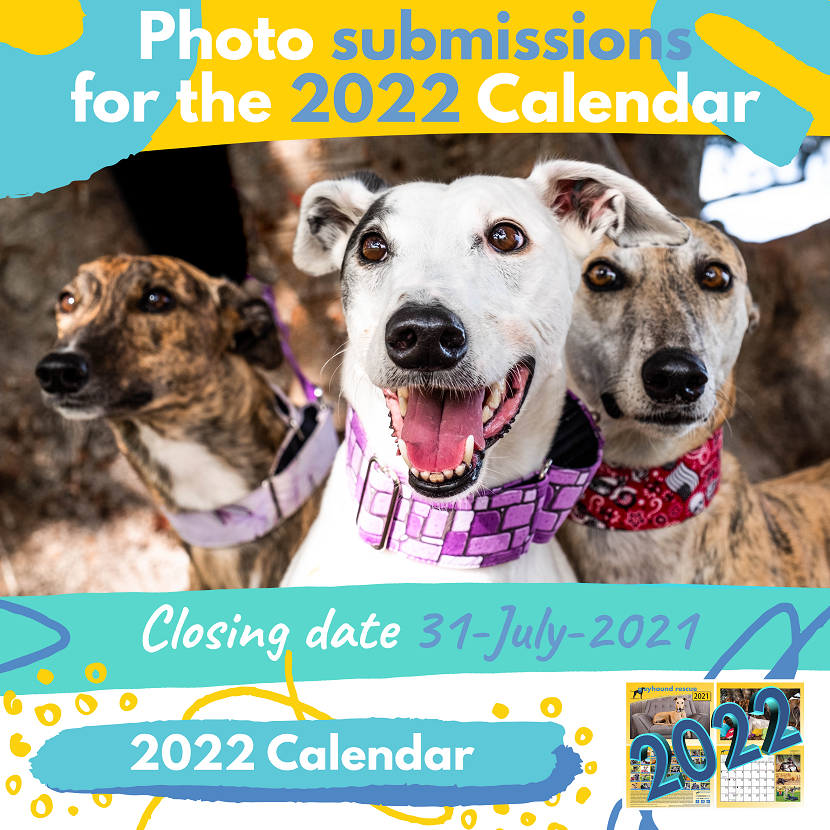 Attention Fashounds! 2022 Greyhound Rescue calendar submissions now