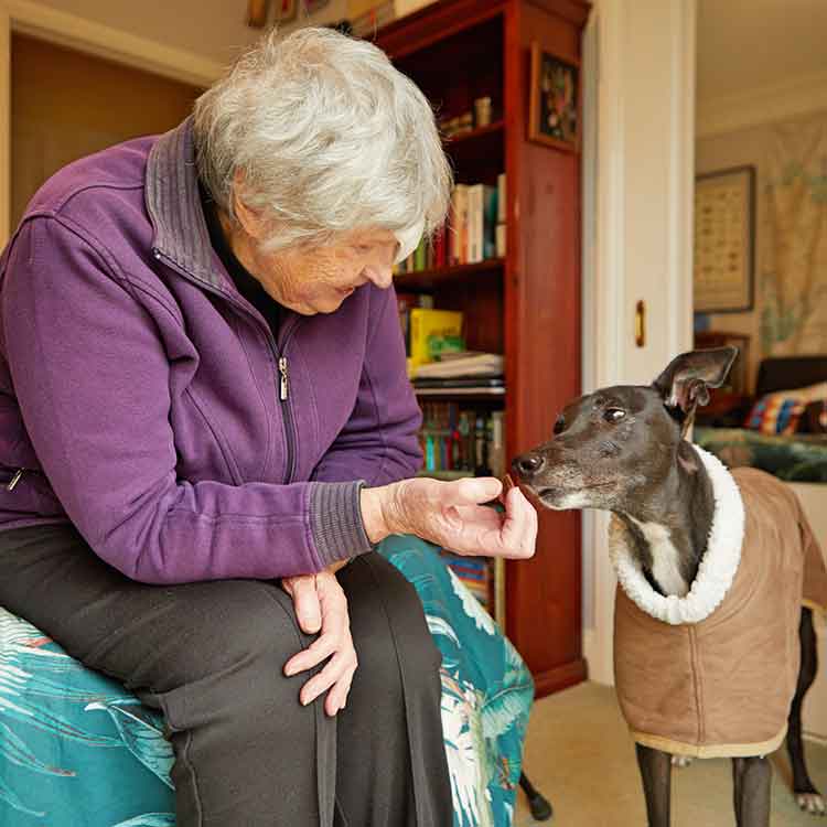 Greyhound Rescue Aged Care visit