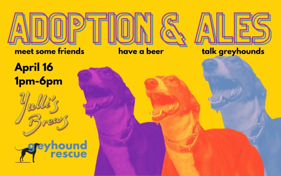 Join us at our Adoption & Ales event