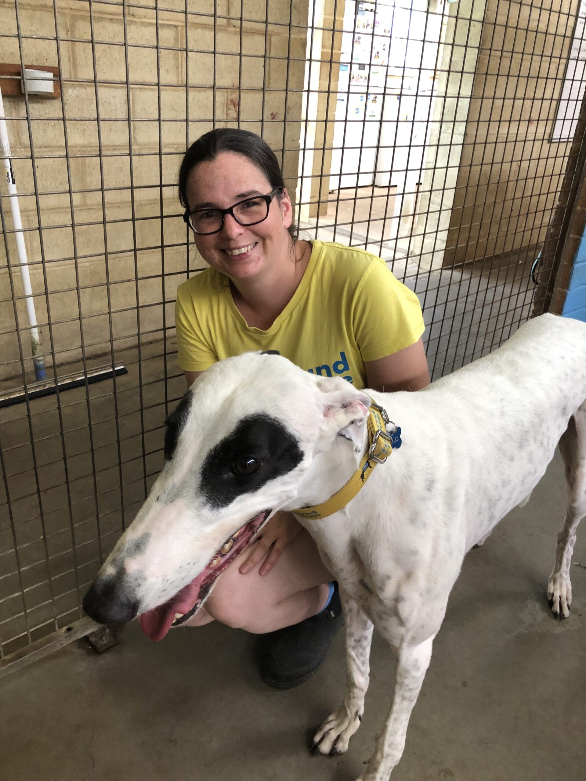 Greyhound Rescue Meet our Volunteers - Jess • Greyhound Rescue