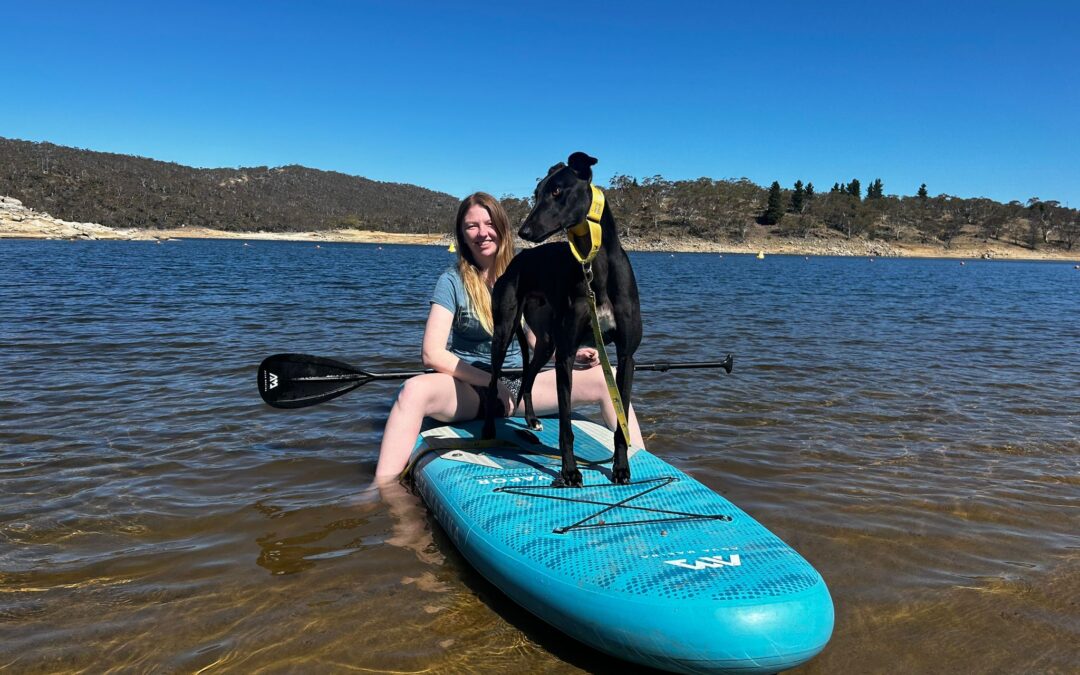 Clooney Finds His Forever Home 