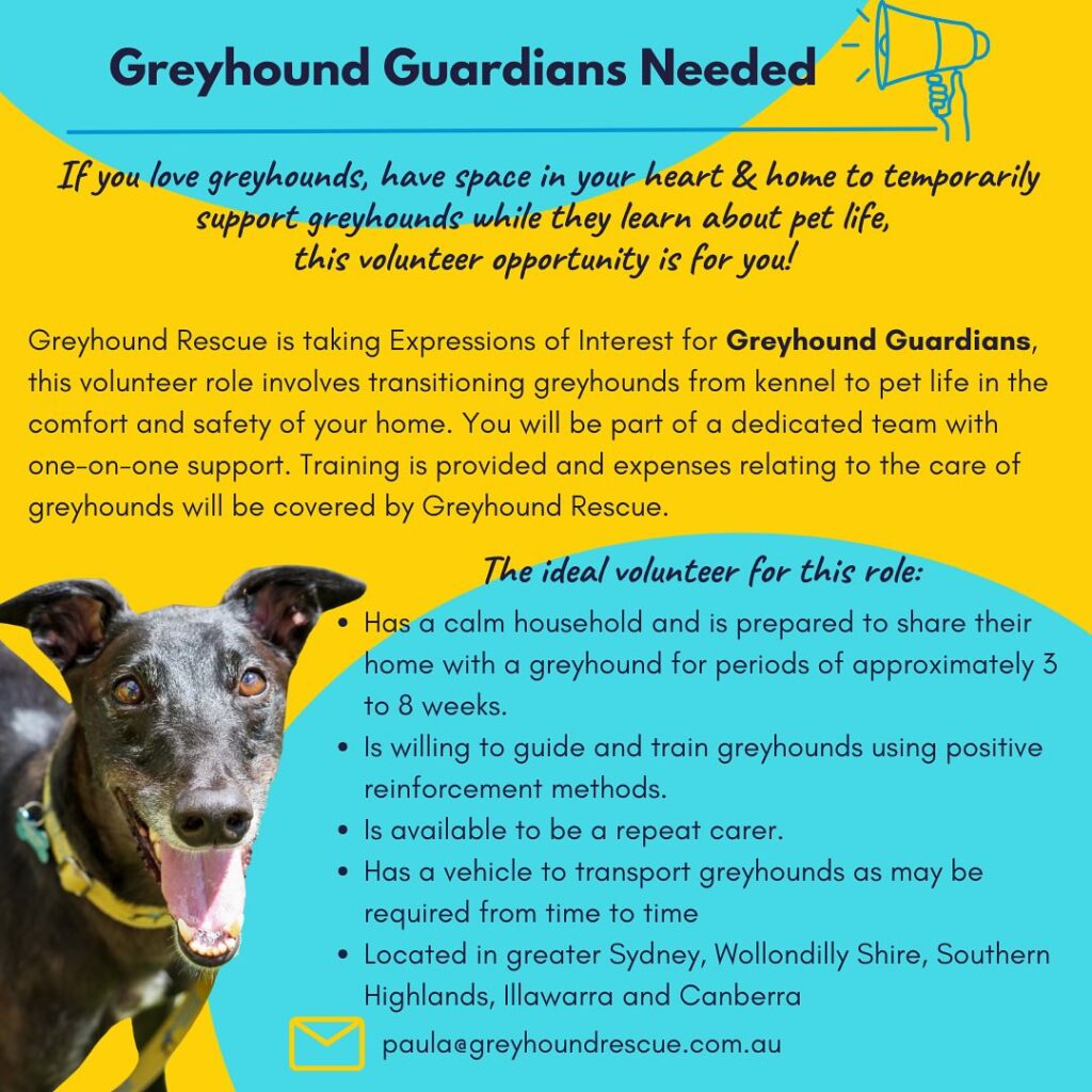 Greyhound Guardian Program