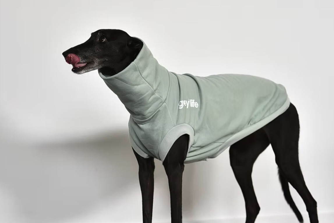Greyt Life - Sleeveless Greyhound Sweater - Image 12