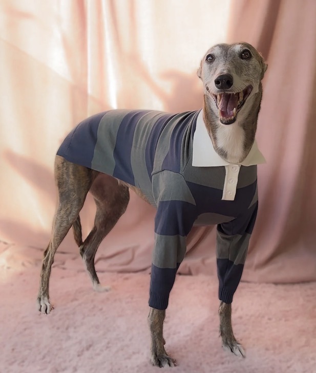 Houndd Co - Polo Shirt - Image 5