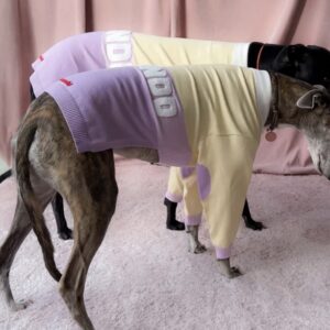 Houndd Co - Polo Jersey