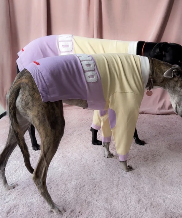 Houndd Co - Polo Jersey