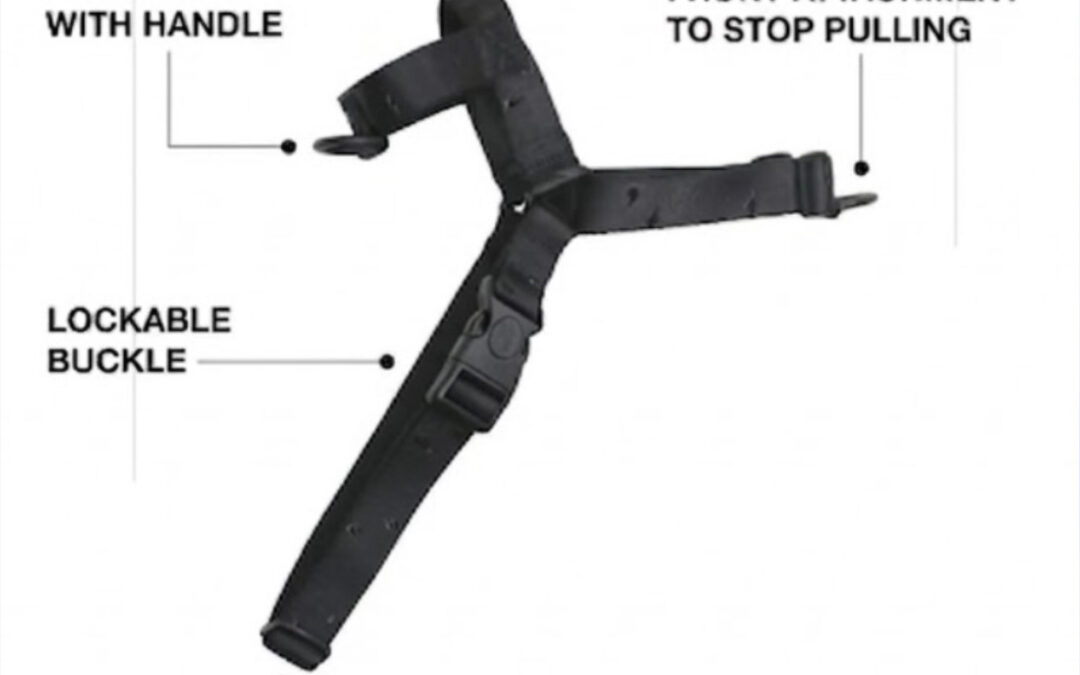 Stylish Hound Original Harness