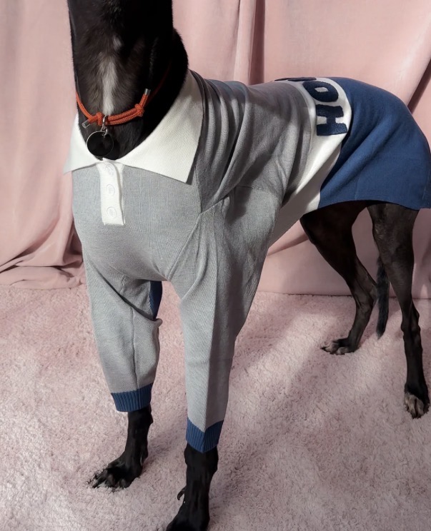 Houndd Co - Polo Jersey - Image 5