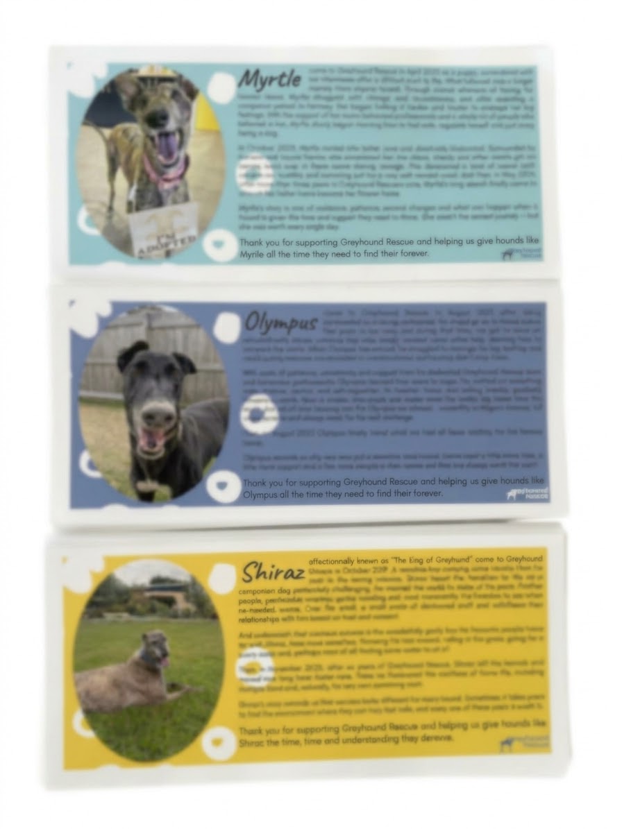 Greyhound Rescue “Journey Home” Stubby Holder - Image 6