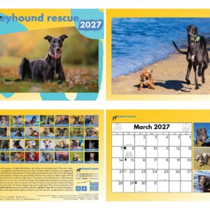 Greyhound Rescue Calendar 2027