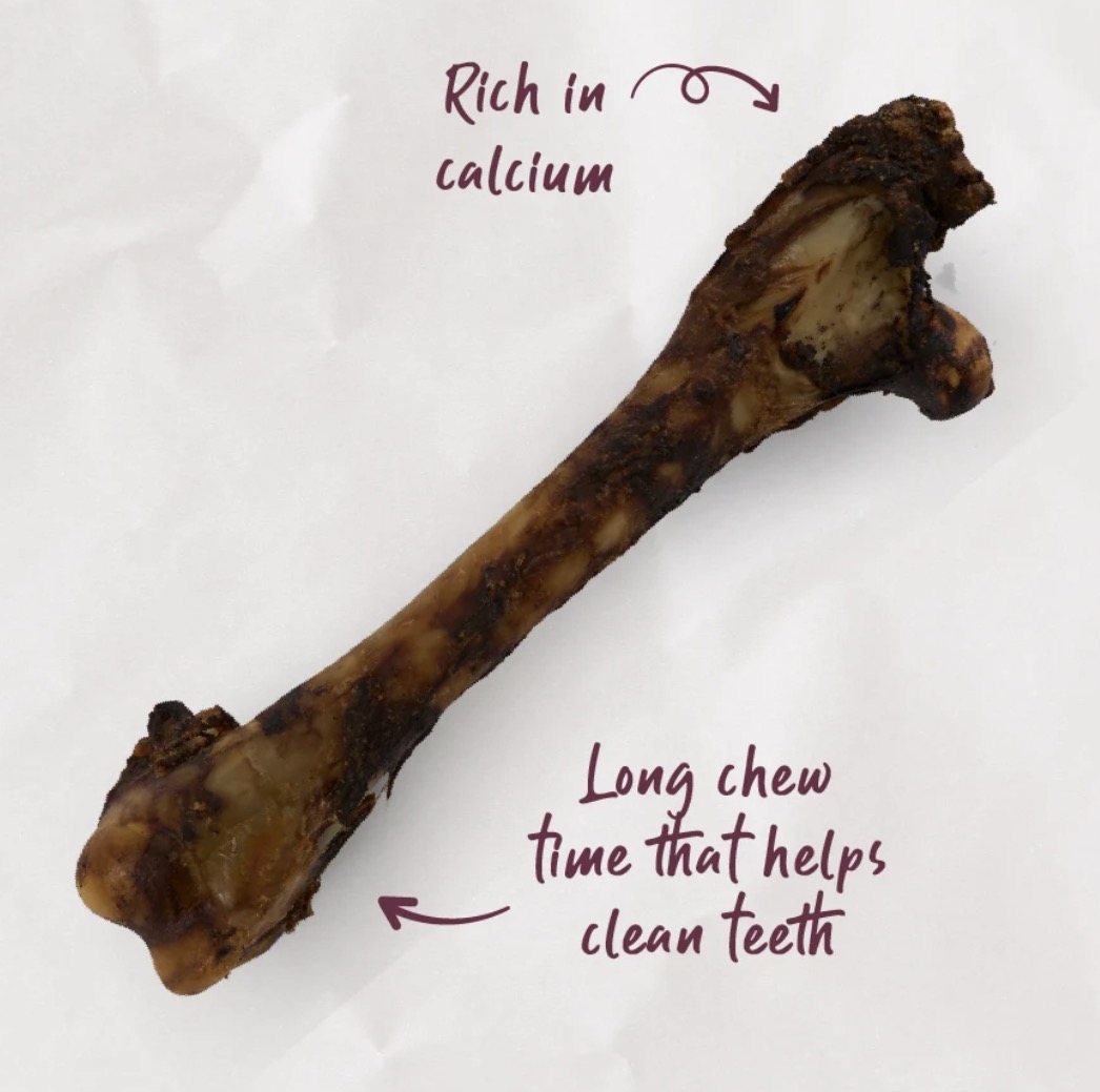 Kazoo Prime Cuts Kangaroo Shin Bone - Image 2